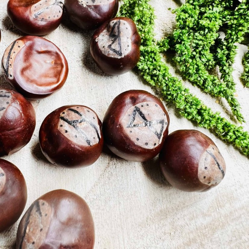 Ručně vypalovaná magická runová sada z velkých kaštanů