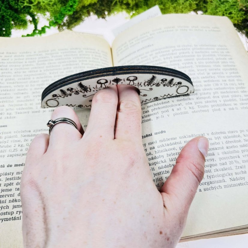 Autorské čtecí okénko