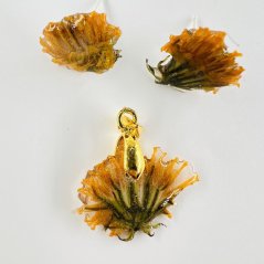 Jewellery set with real dandelions