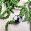 Orgonite ring - moonstone - fertility, feminine energy
