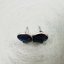 Orgonite earrings for health