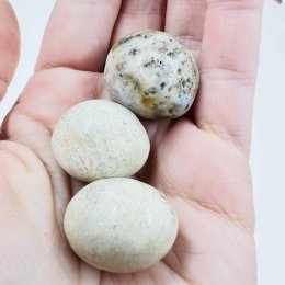 Zkamenělý korál – fosilní kulička – klid a propojení