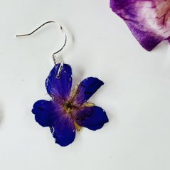 Real violet earrings