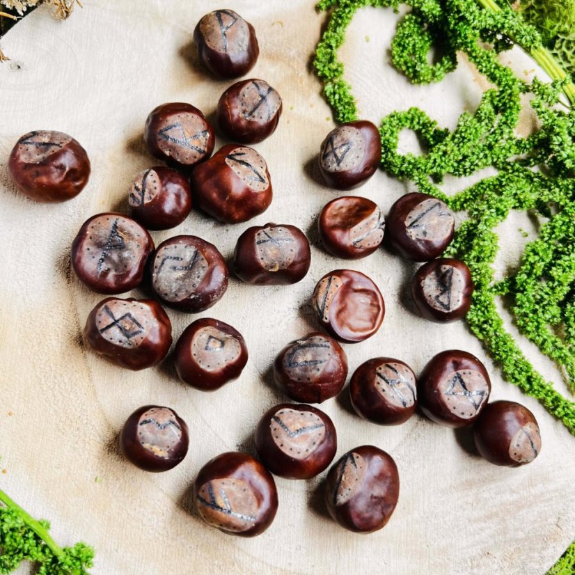 Ručně vypalovaná magická runová sada z kaštanů