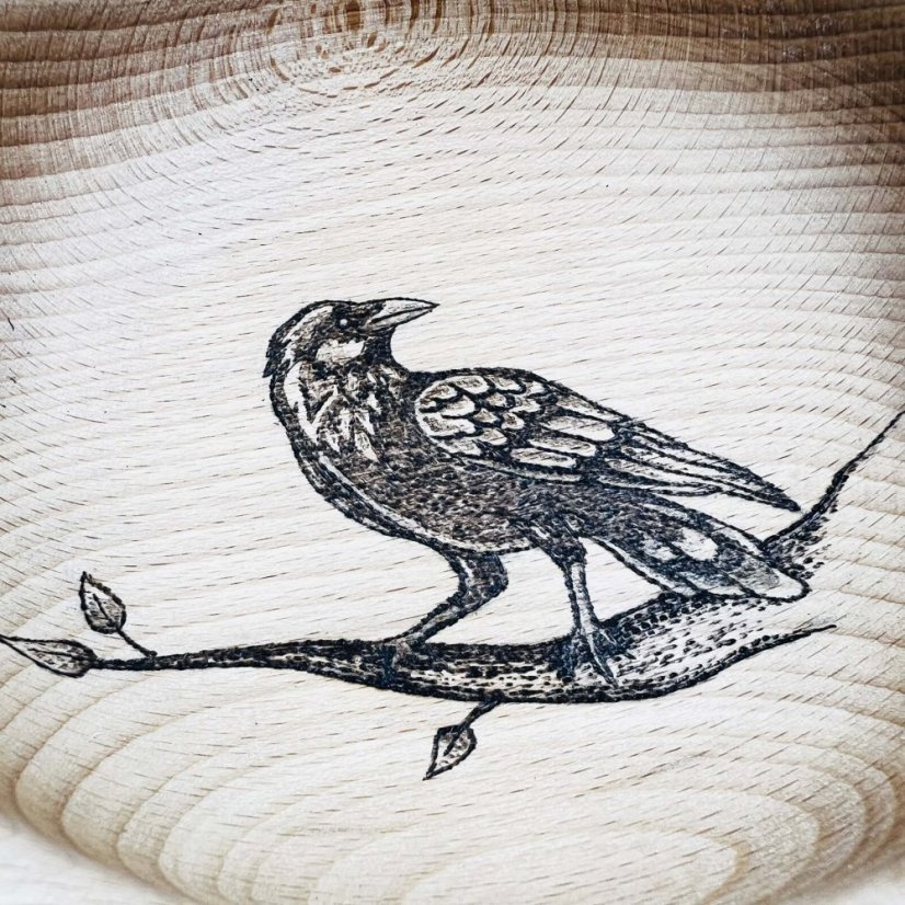 Buková miska - havran