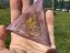 Orgonite pyramid for love and light in life