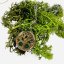 Orgonite necklace - tree of life - harmony, protection