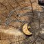 Wooden hand-carved jewelry - Crescent - protection, balance Wooden hand-carved jewelry - Crescent - protection, balance
