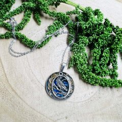 Orgonite necklace - raven - knowledge, truth