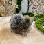 Orgonite hedgehog - peace, stability, protection