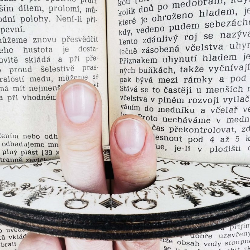 Autorské čtecí okénko