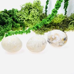 Zkamenělý korál – fosilní kulička – klid a propojení