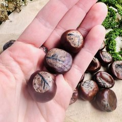 Hand-burned magical rune set made of chestnuts