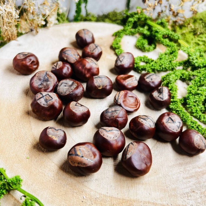 Ručně vypalovaná magická runová sada z kaštanů