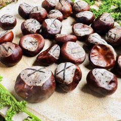 Ručně vypalovaná magická runová sada z velkých kaštanů