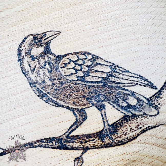 Beech bowl - raven