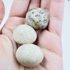 Zkamenělý korál – fosilní kulička – klid a propojení