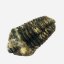 Trilobit A