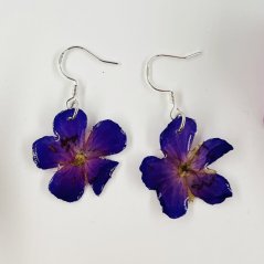 Real violet earrings