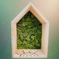 Magická polička – domeček se stabilizovaným mechem a magickými symboly - ručně vypalováno Magická polička – domeček se stabilizovaným mechem a magickými symboly - ručně vypalováno