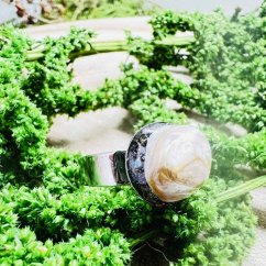 Orgonitový prsten - úlomek lastury - klid, harmonie, jemnost