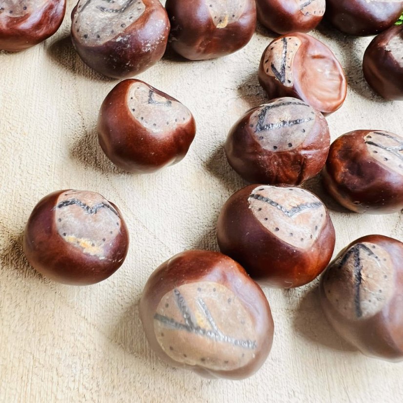 Ručně vypalovaná magická runová sada z velkých kaštanů