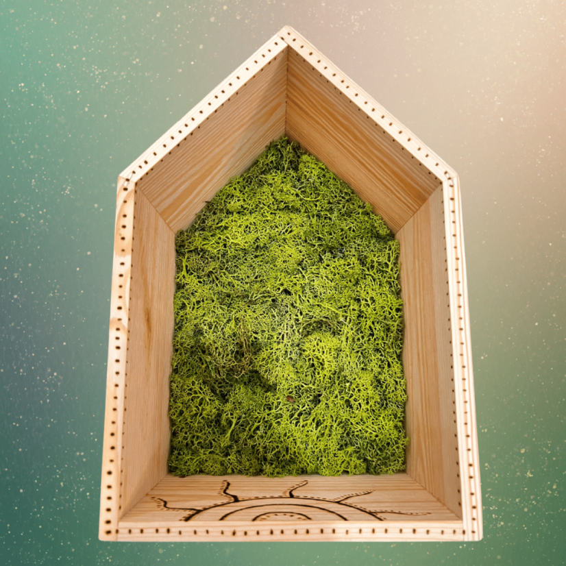 Magická polička – domeček se stabilizovaným mechem a magickými symboly - ručně vypalováno