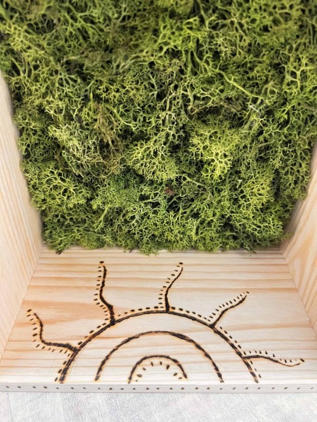 Magická polička – domeček se stabilizovaným mechem a magickými symboly - ručně vypalováno