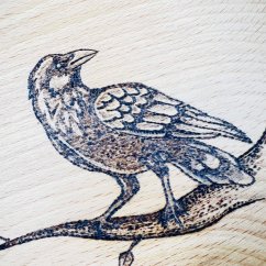 Buková miska - havran