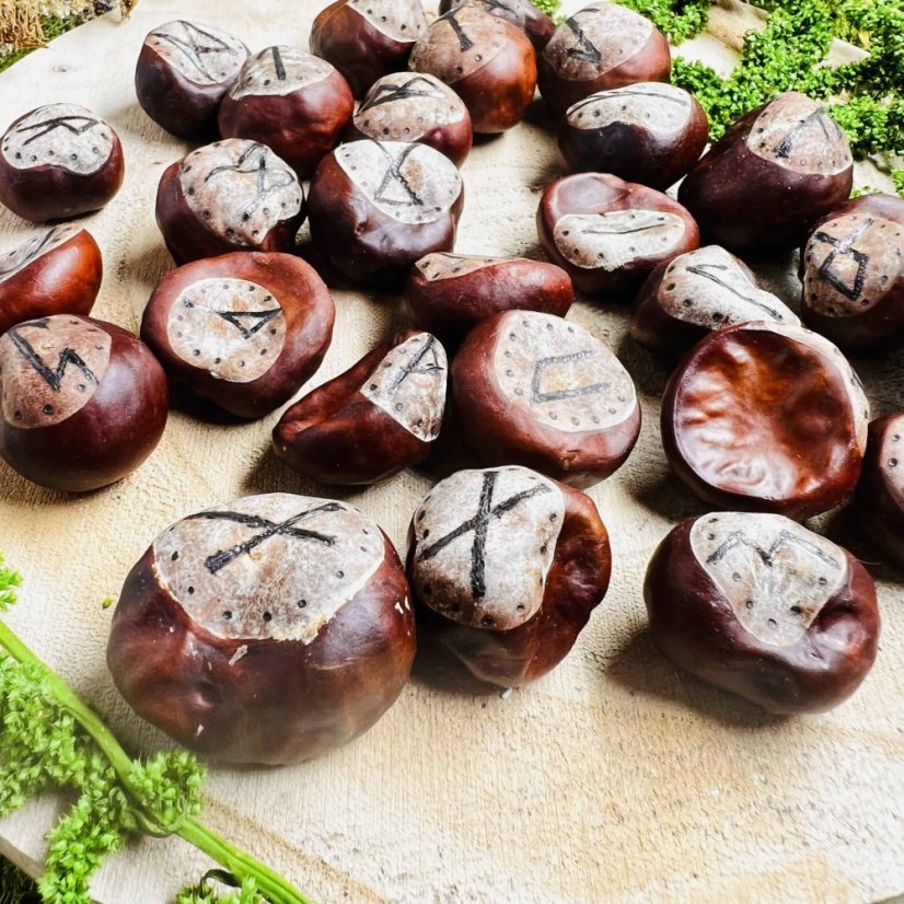 Ručně vypalovaná magická runová sada z velkých kaštanů