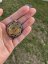 Orgonite harmonising pendant / amulet / talisman with yin yang for harmony and luck